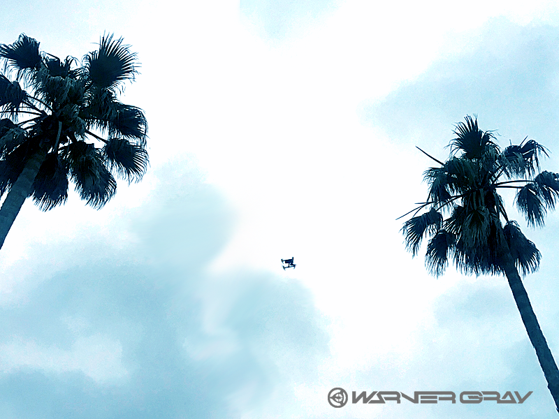 ドローン空撮 INSPIRE PRO