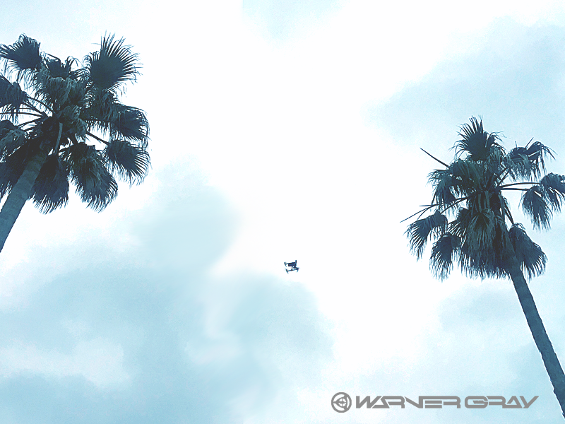 ドローン空撮 INSPIRE PRO
