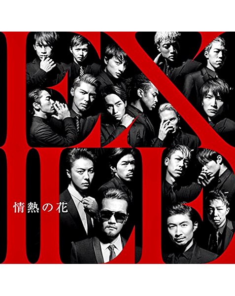 ドローン空撮 DVD