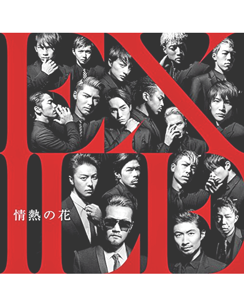 ドローン空撮 DVD